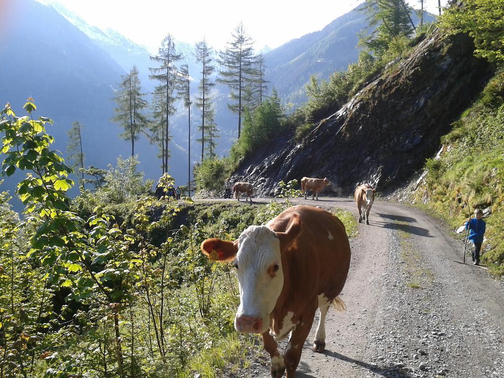 Feriendorf Ponyhof Fusch an der Grossglocknerstrasse Экстерьер фото