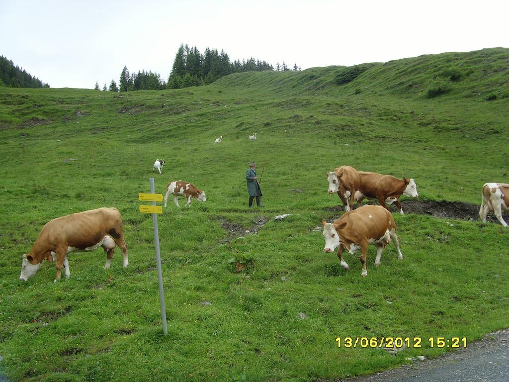 Feriendorf Ponyhof Fusch an der Grossglocknerstrasse Экстерьер фото